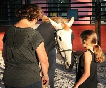 DLC Collaborates with Naples Therapeutic Riding Center to Offer Equine Group Therapy to Adolescents
