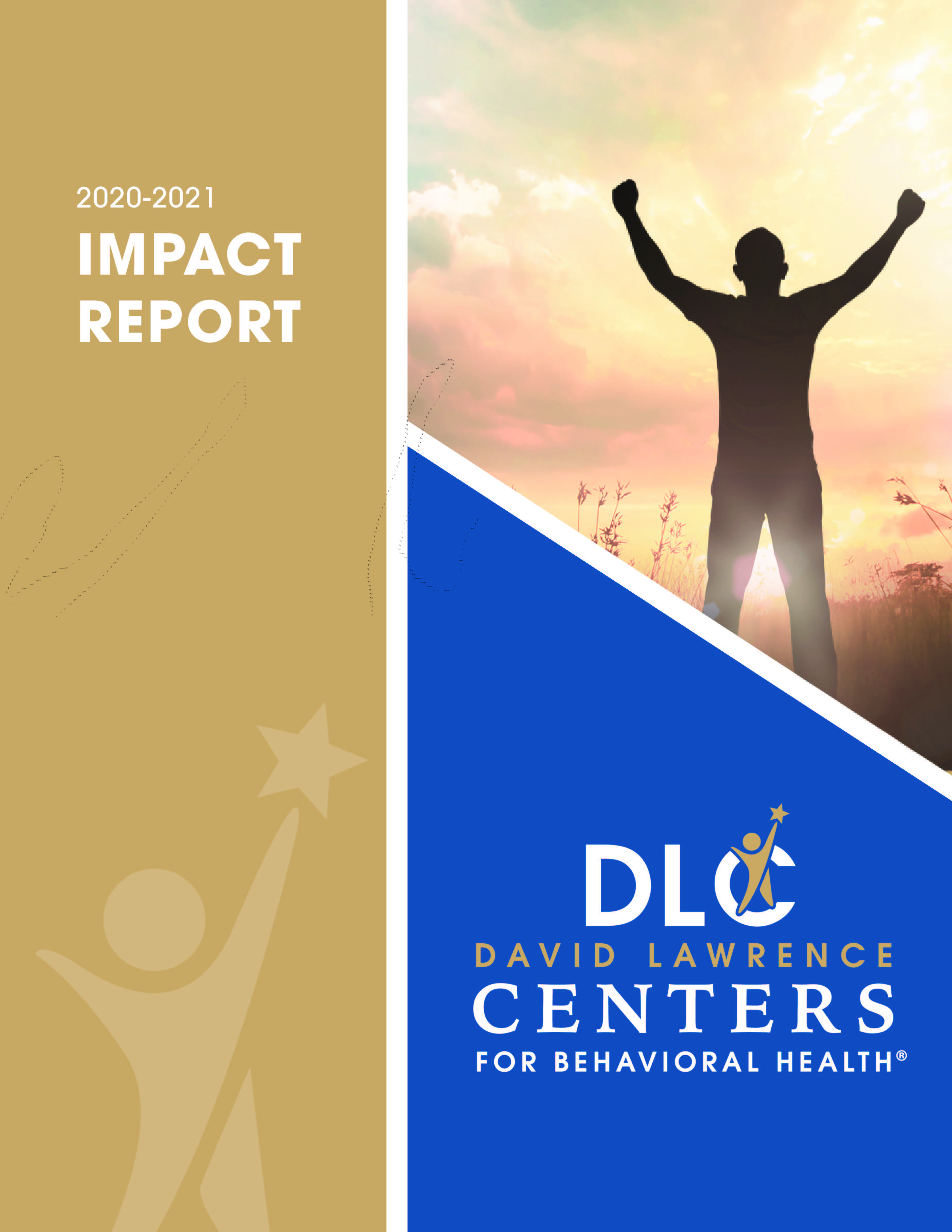 IMPACT REPORT 2020-2021